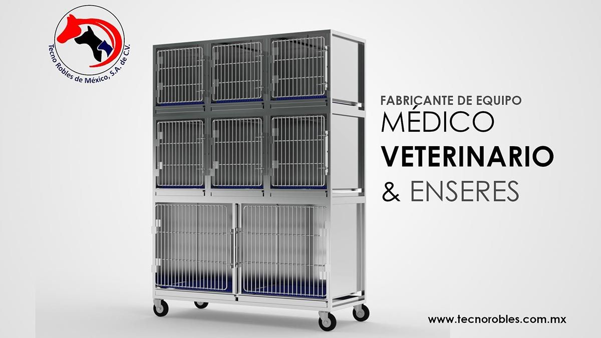 TECNO ROBLES DE MÉXICO SA DE CV