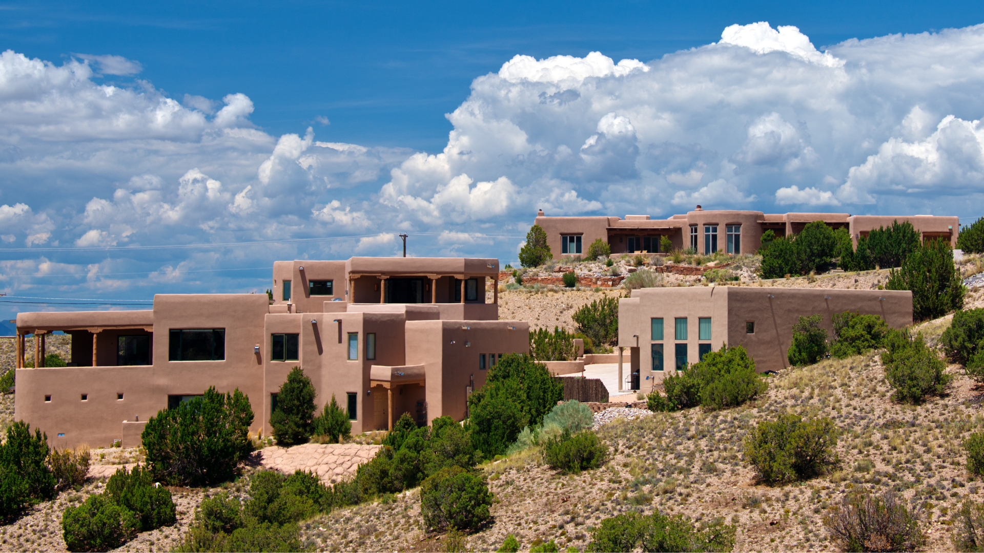 A group of children are planting a small plant in the dirt.