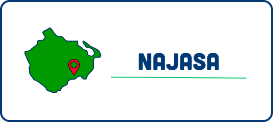 A map of najasa with a red pin on it.