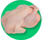 A raw chicken is sitting on top of a green circle.