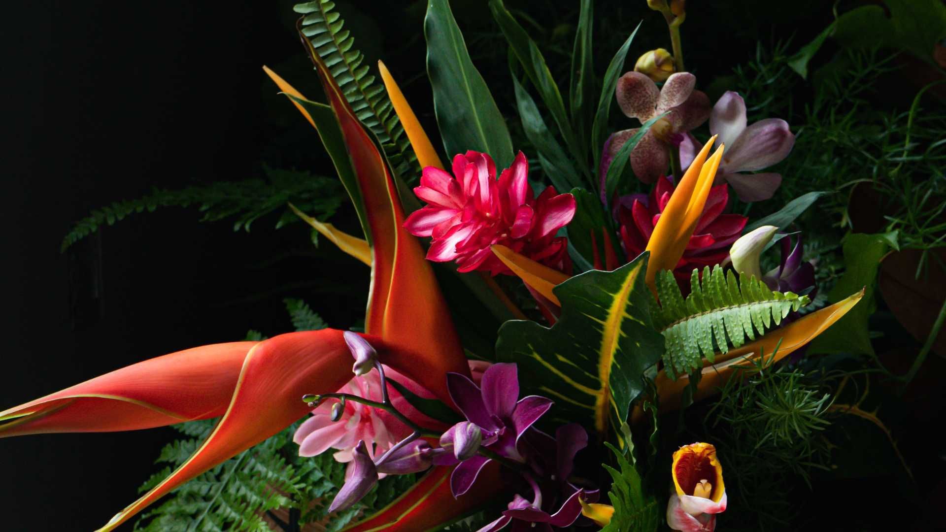 Custom Orchid Arrangements