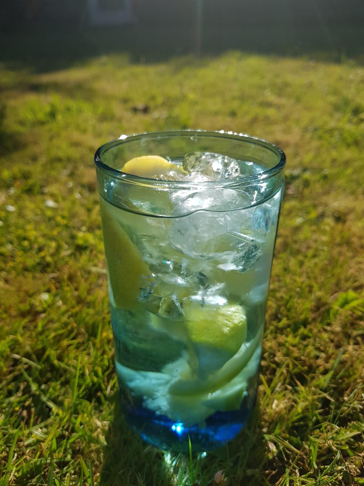 gallery - the hungry plaice