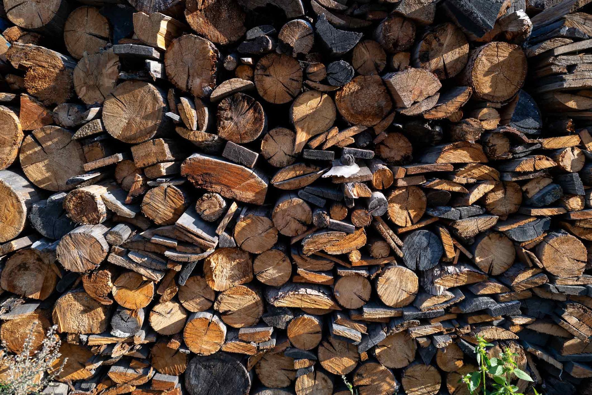 Wooden Wall With Cross Section Of Pile Of Wood — Virginia Beach, VA — Bishops Tree Service Inc