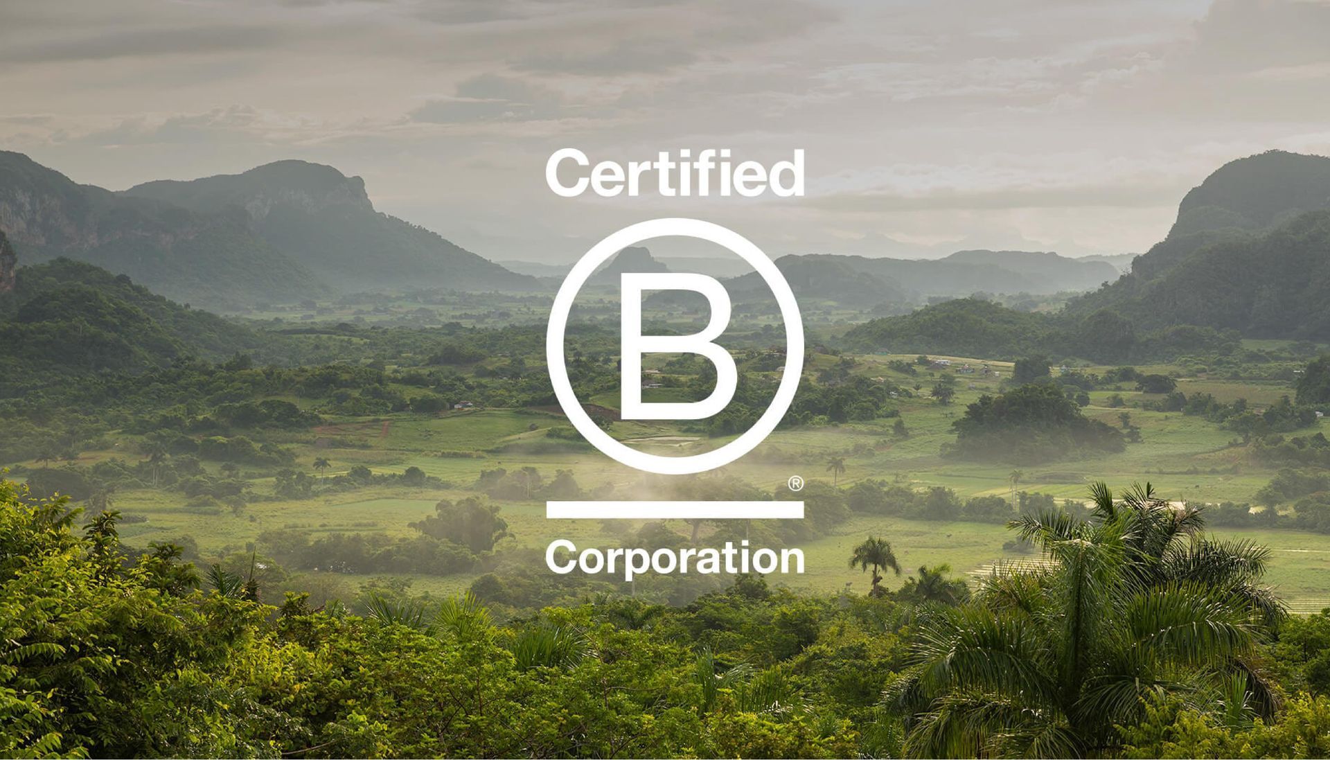 Certificação B Corp, o que representa?
