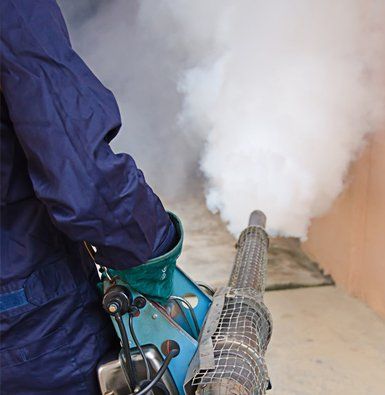 Fogging to dengue preventive