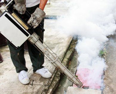 Fogging into the drain to prevent spread of dengue fever