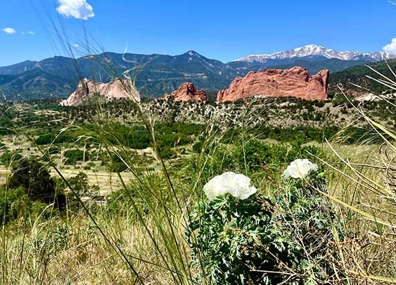 Pikes Peak