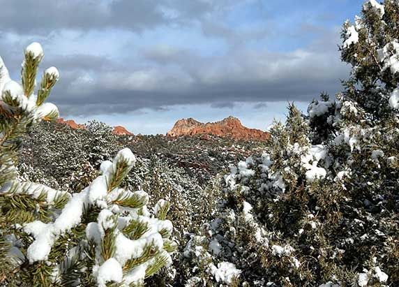 Garden of the Gods
