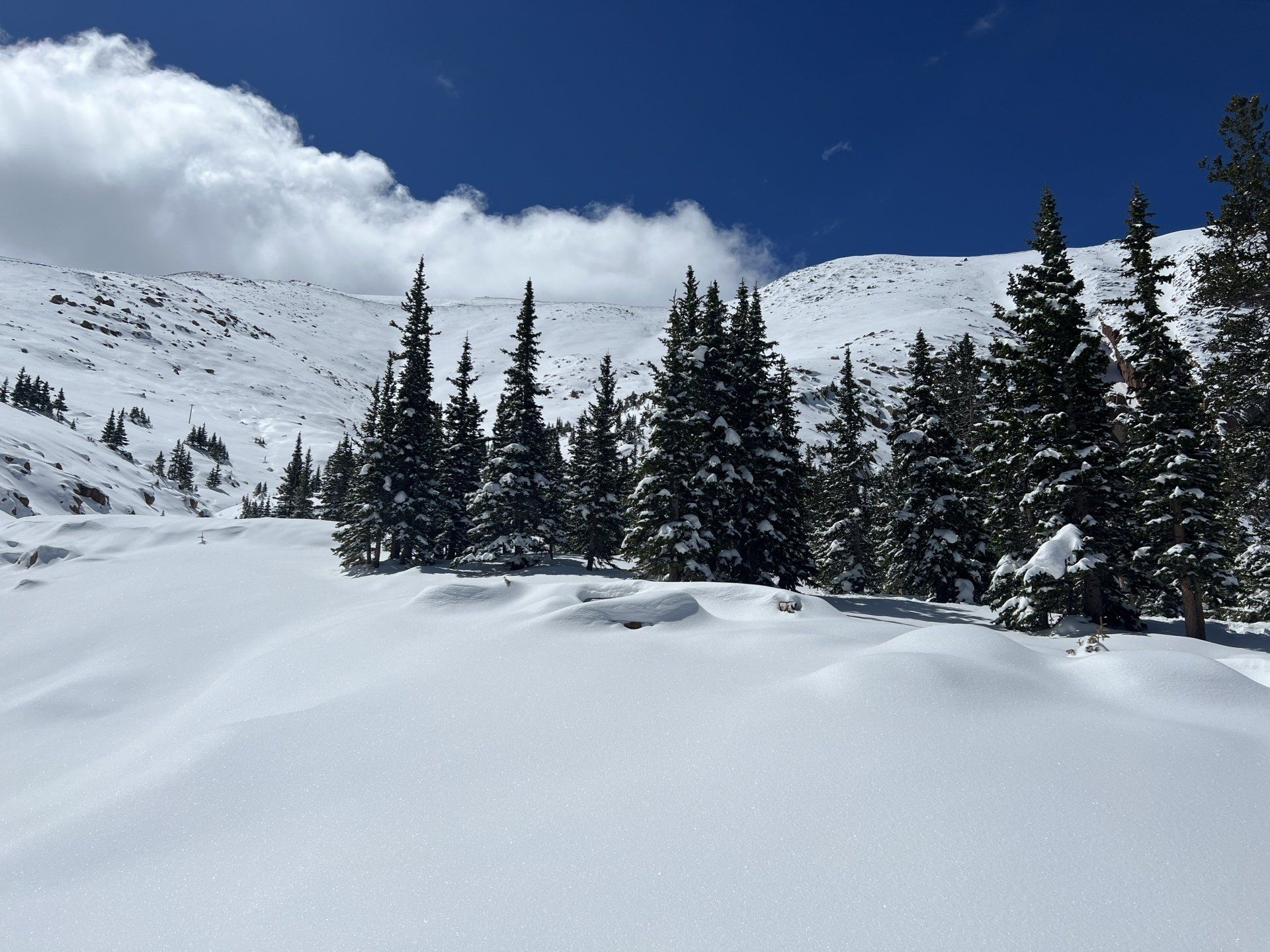 Pikes Peak