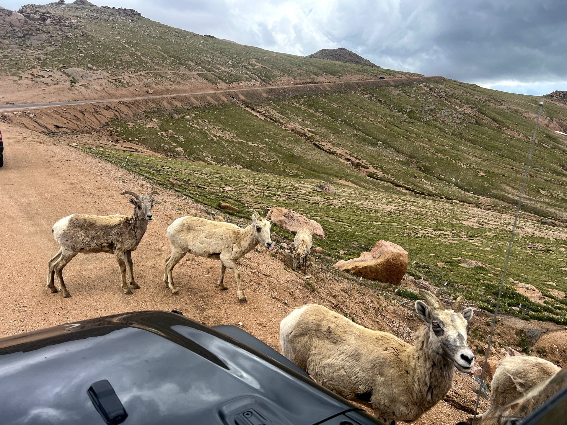 Pikes Peak