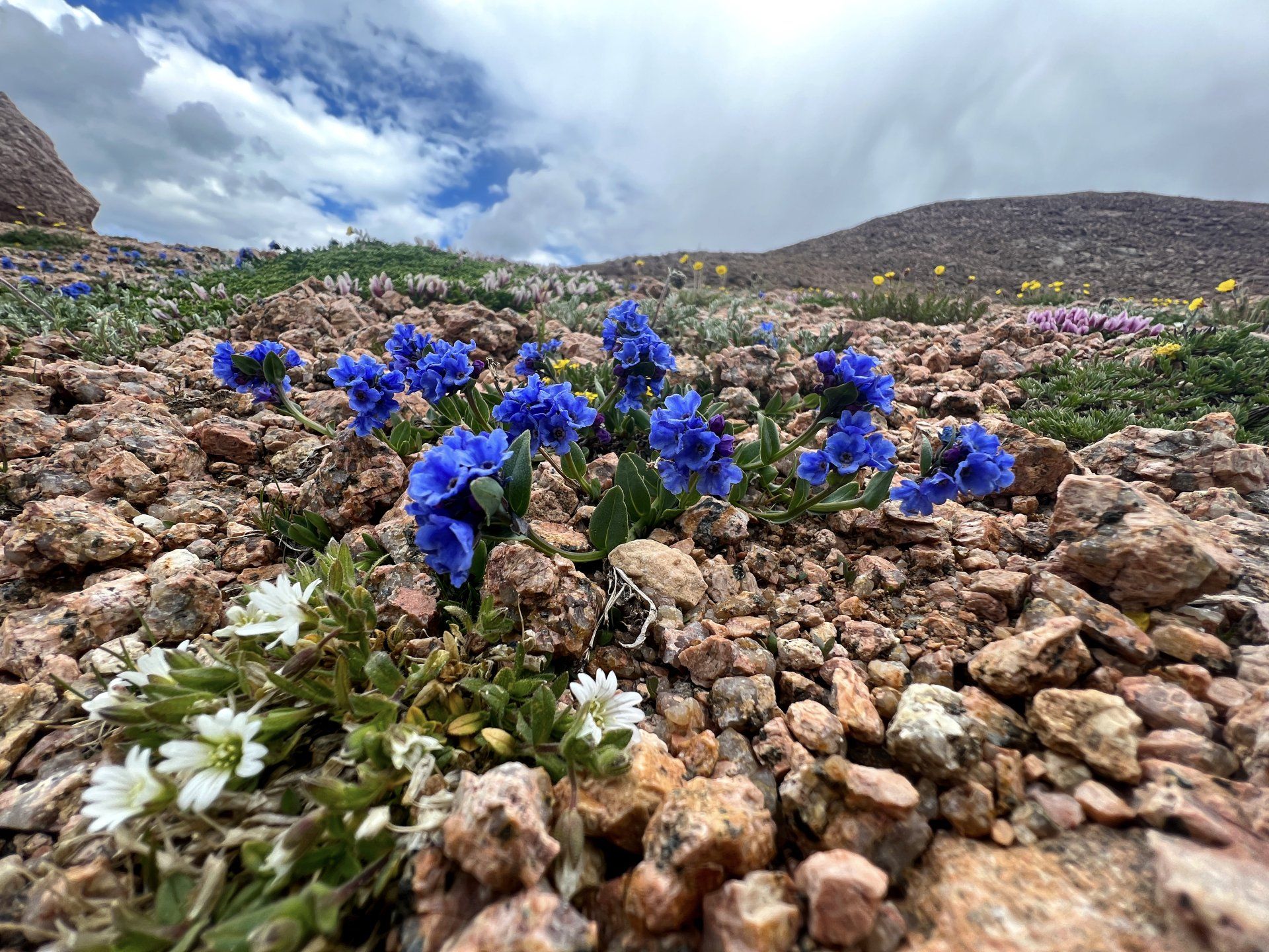 Pikes Peak