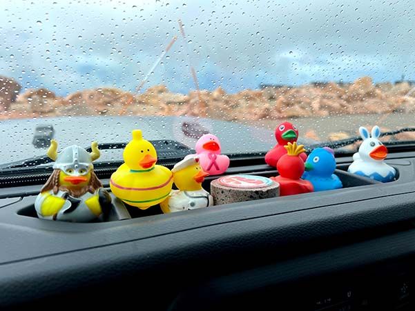 Jeep Ducks