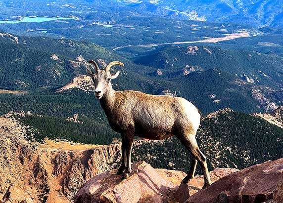 Pikes Peak