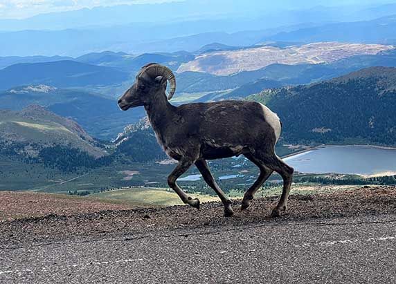 Pikes Peak