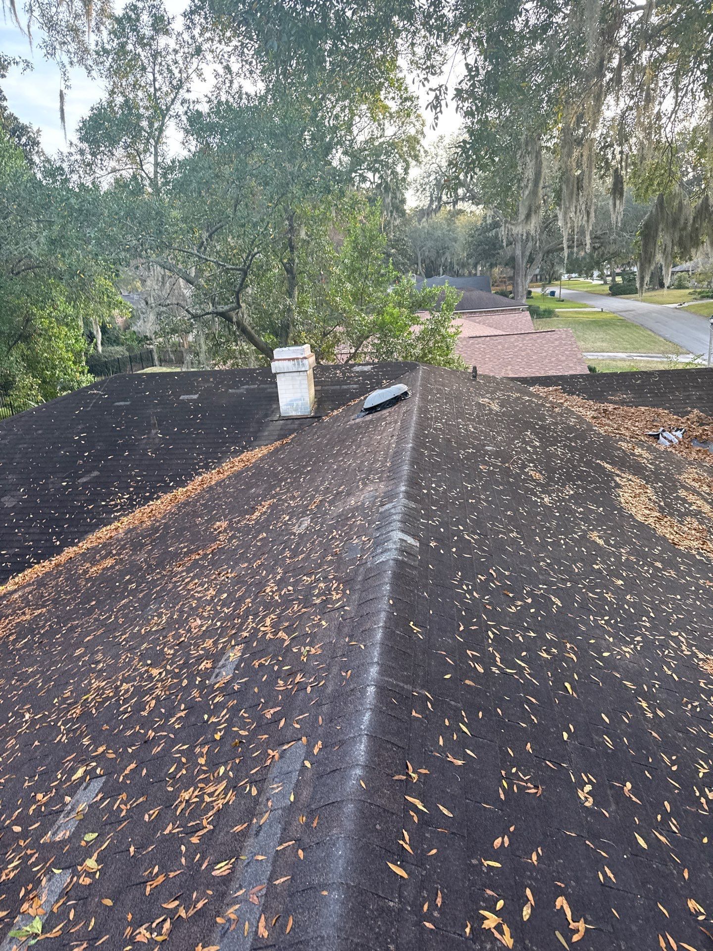 Dark roof covered in debris with a vent pipe; trees and a road visible in the background.
