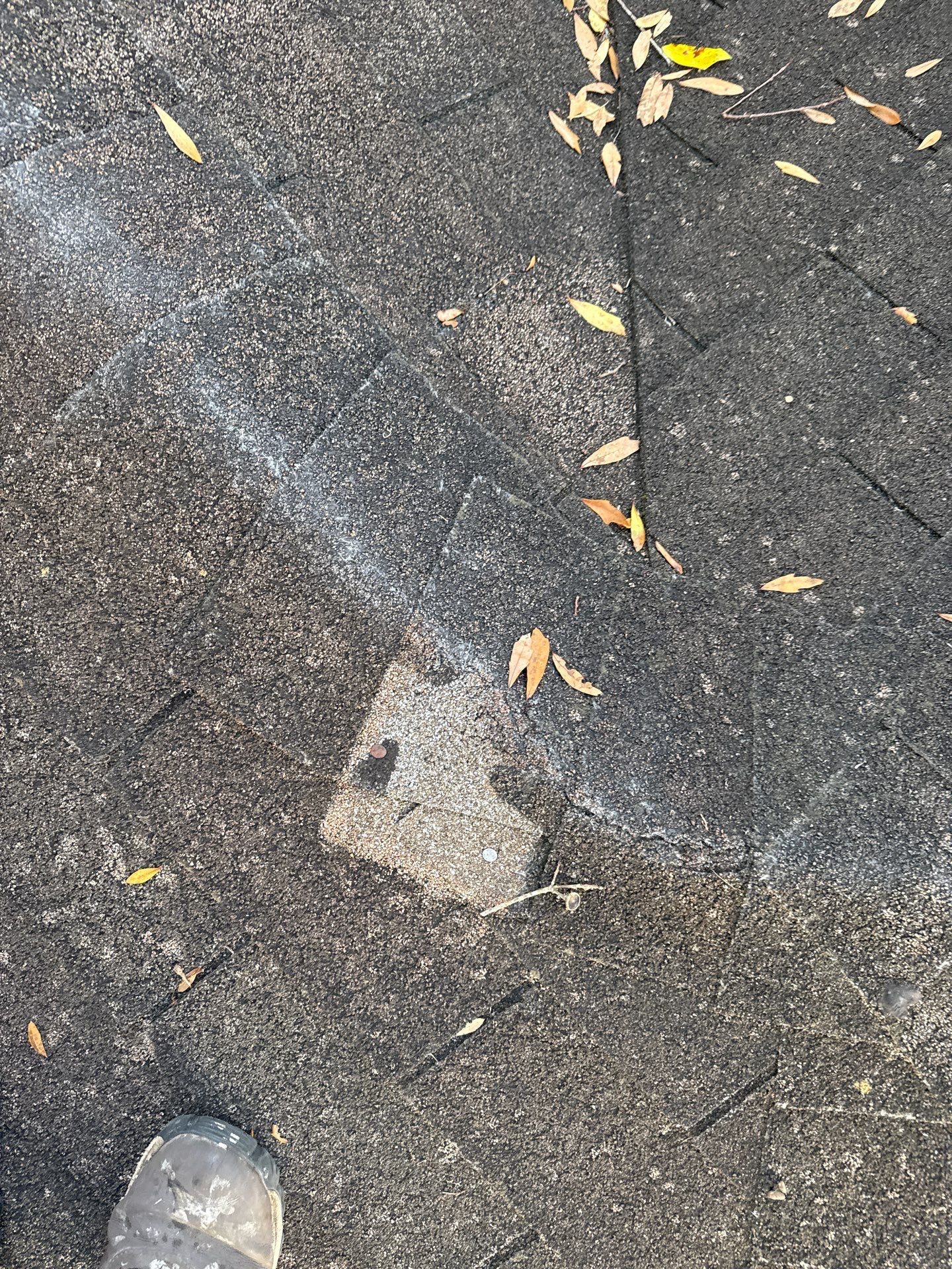 Dark, cracked pavement with a lighter-colored, square patch. Scattered leaves and a foot are visible.