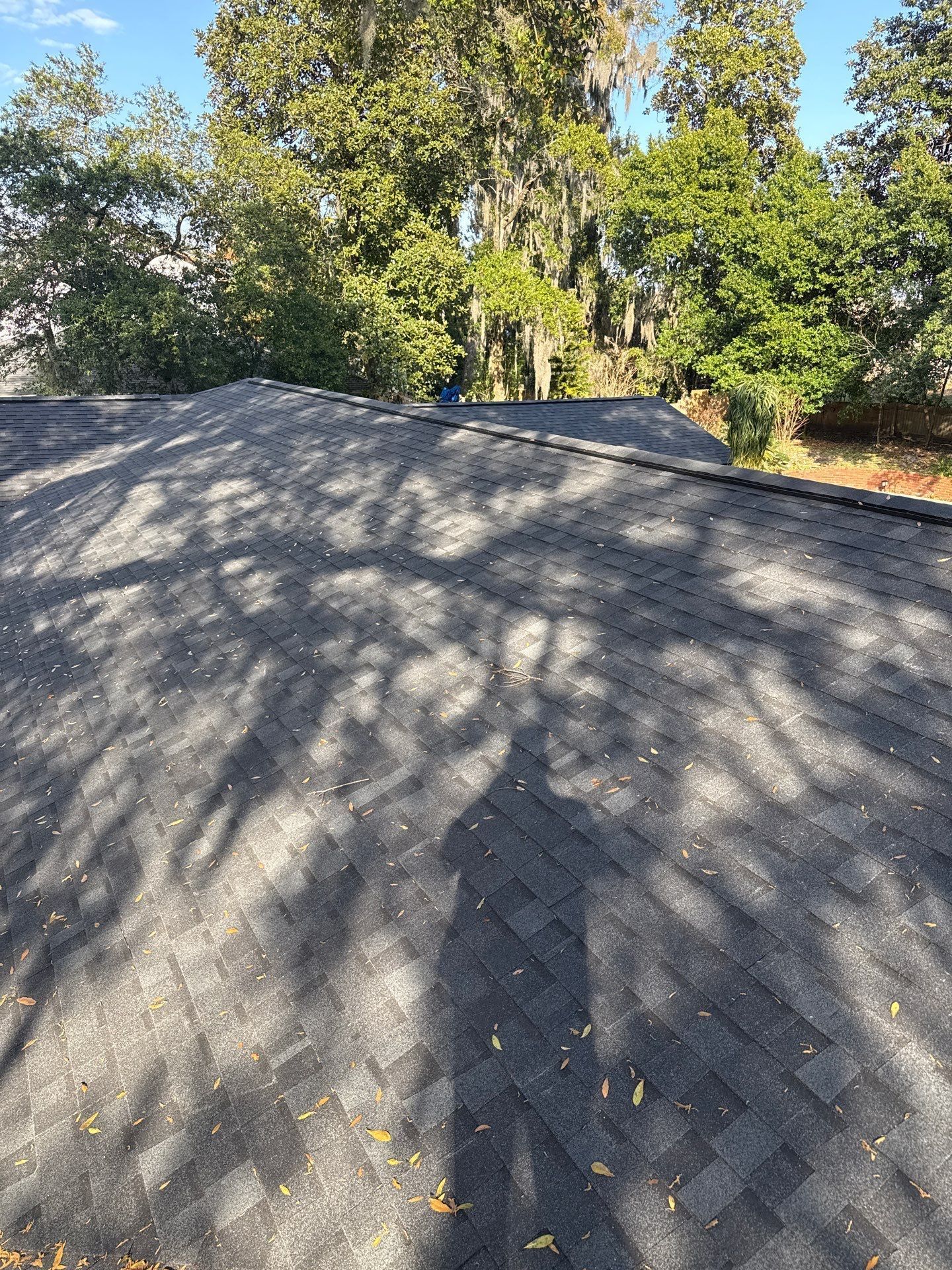 Dark shingle roof with tree shadows cast across it. Green trees in the background, blue sky visible.