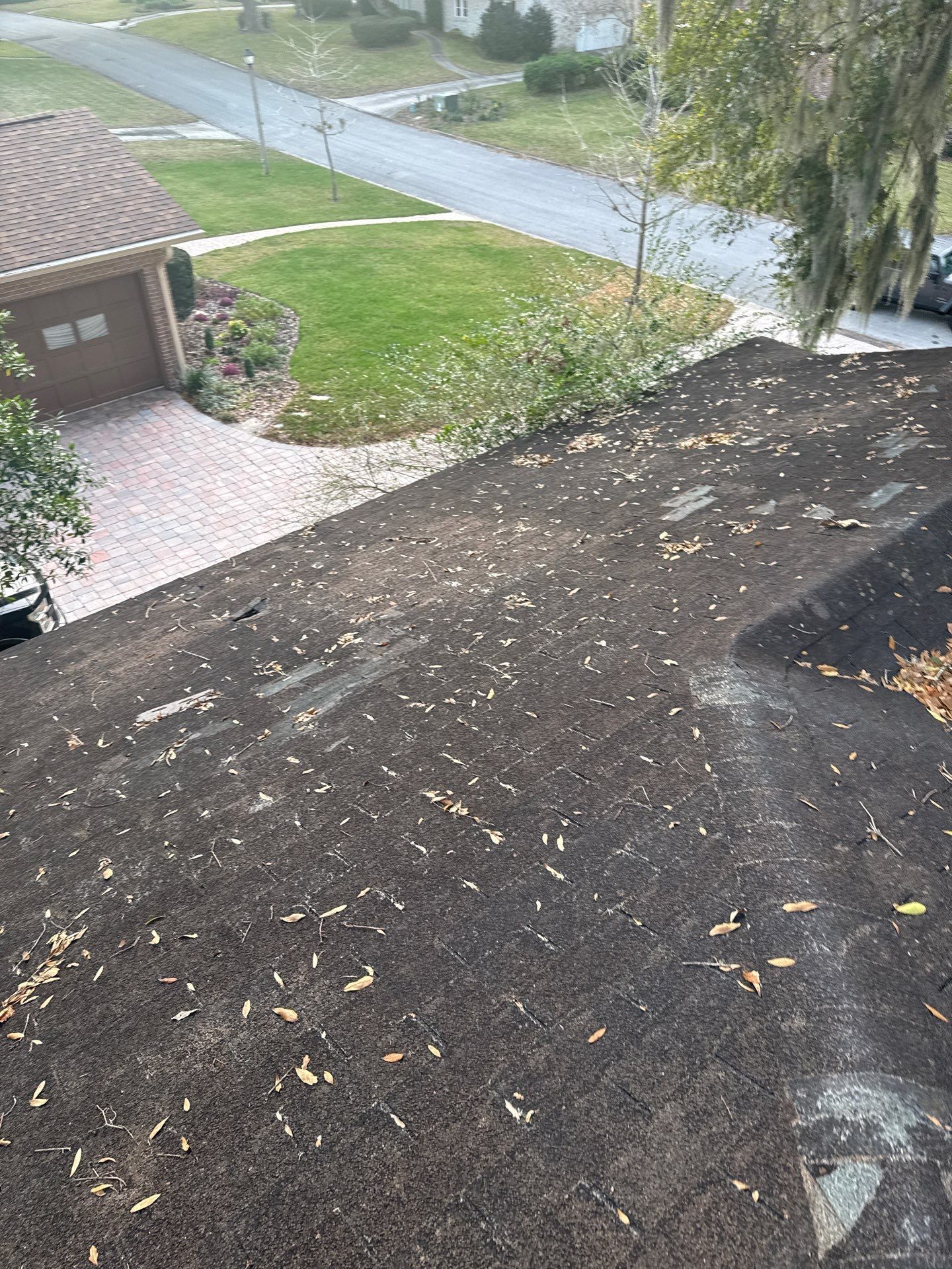 Dark, weathered asphalt shingle roof covered in leaves and debris. Overlooks a driveway, lawn, and street.