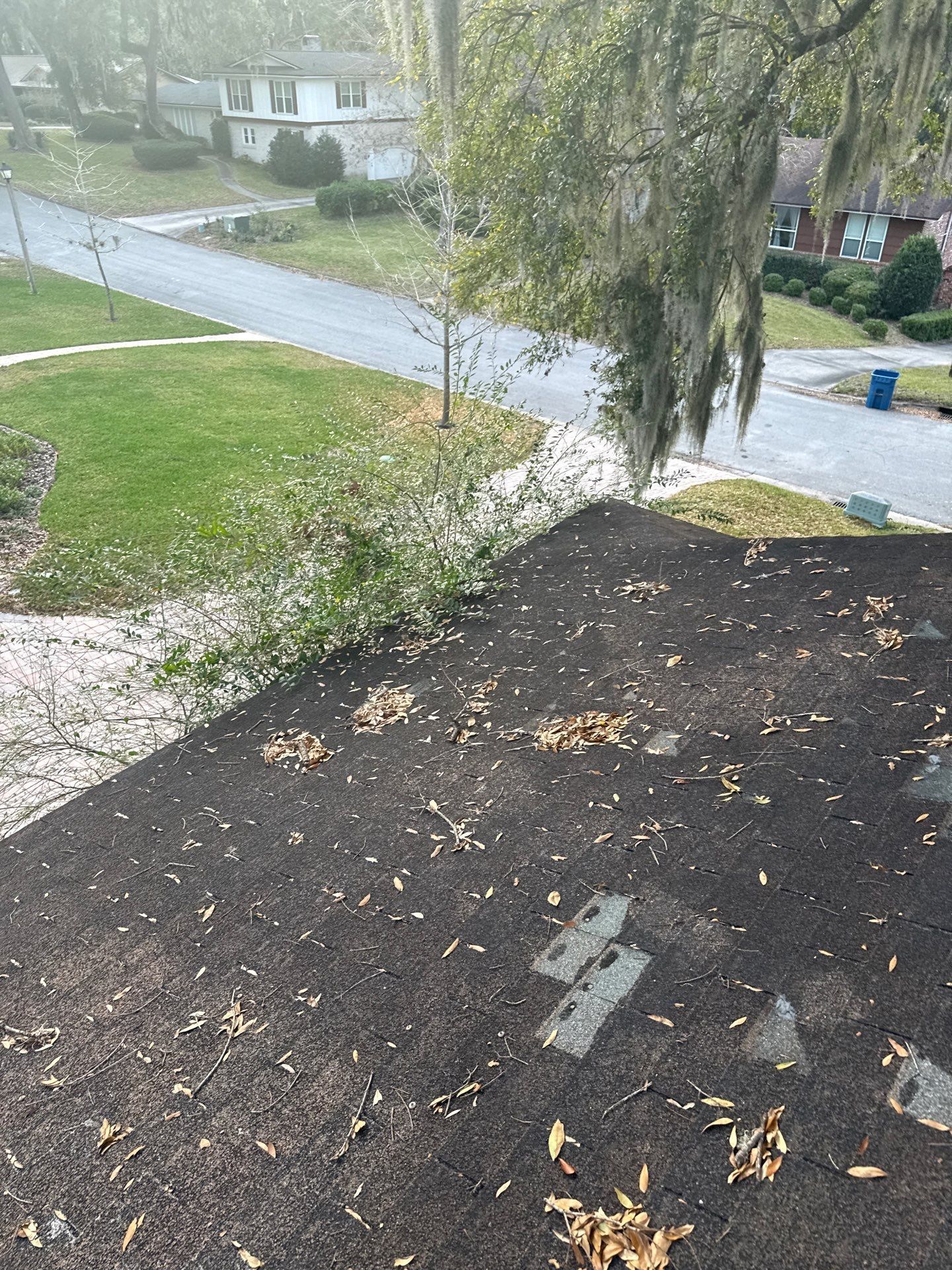 View of a dark roof covered with debris and leaves. Trees and houses are visible in the background.