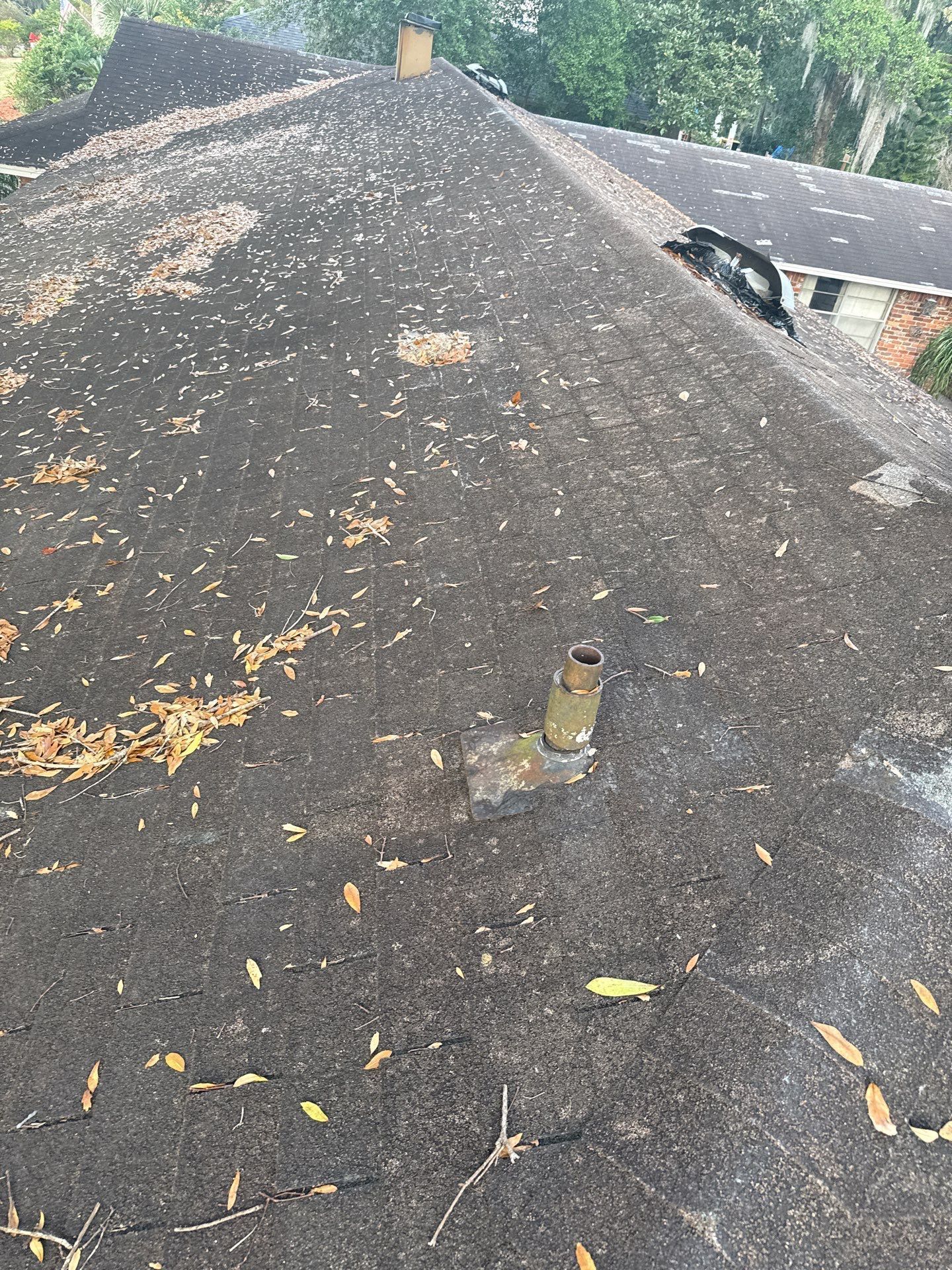 Dark asphalt shingle roof covered in debris with a metal vent pipe.