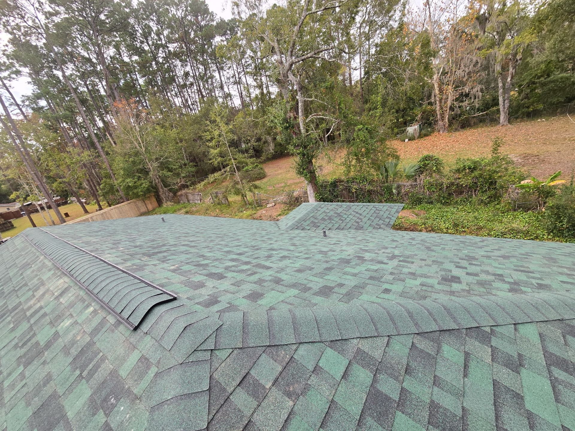 Green asphalt shingle roof, angled view; lush green trees and foliage in the background.