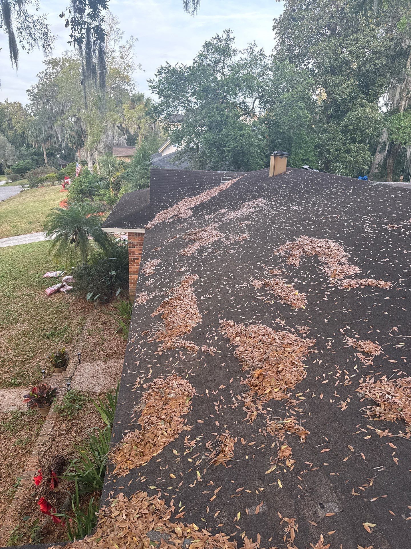 Shingled roof covered in brown leaves, trees and lawn in the background. Chimney visible.