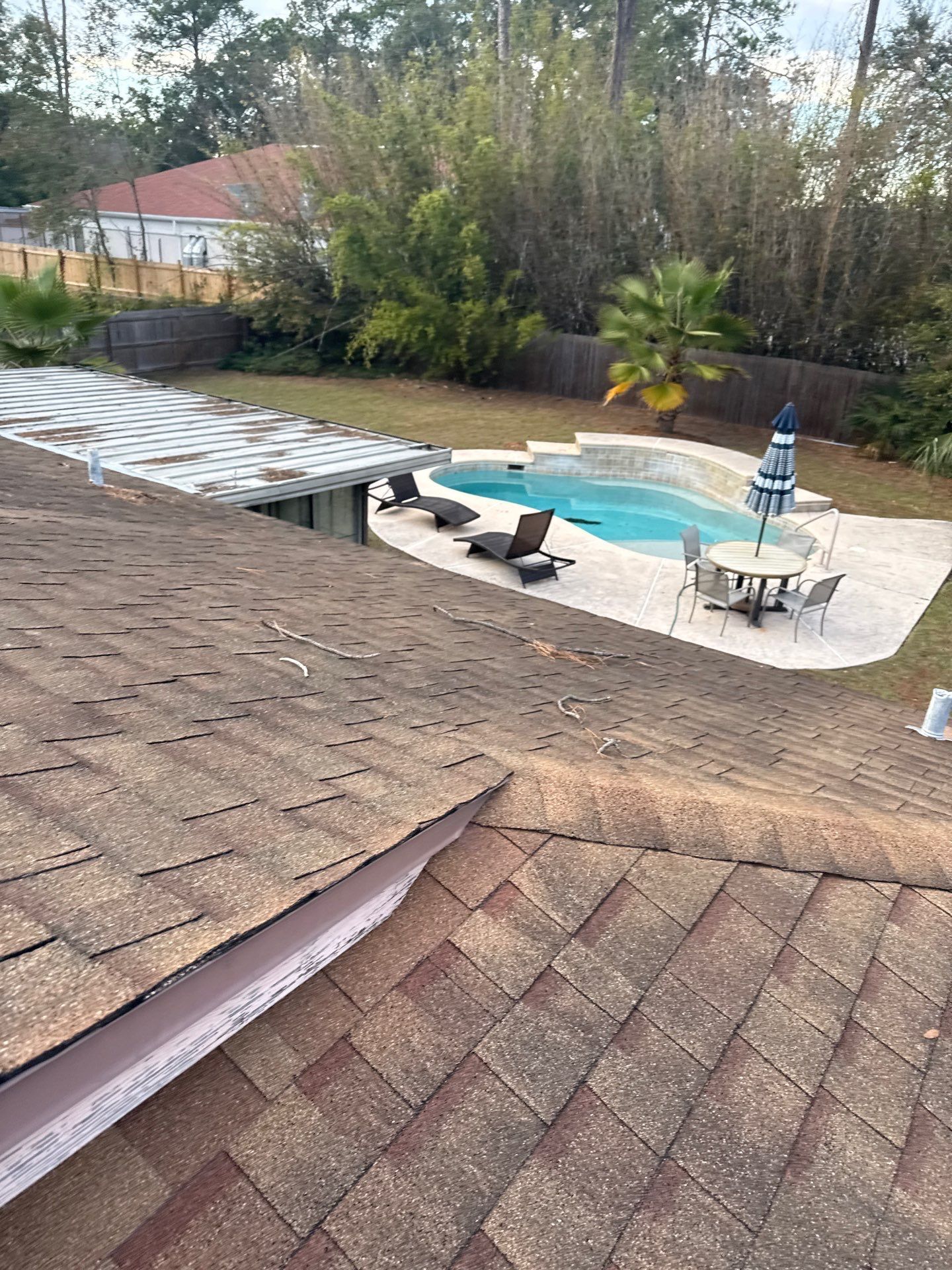 View from a roof, backyard with a pool. Roof is brown, pool is blue, and backyard has trees.