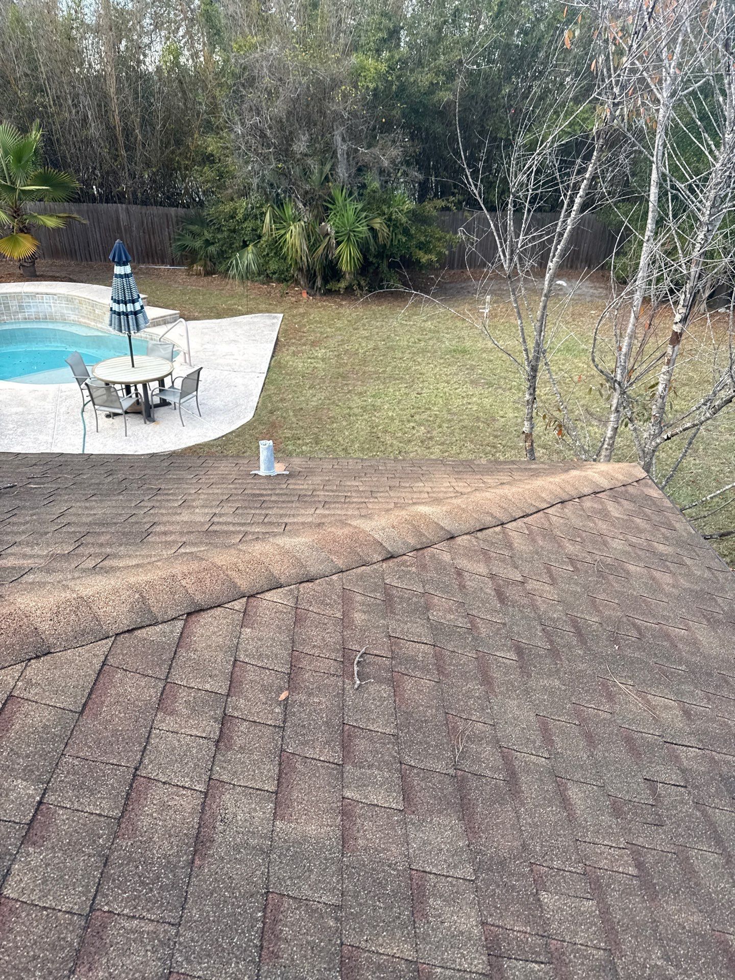 View of a brown shingled roof, backyard with pool, patio furniture, and trees.