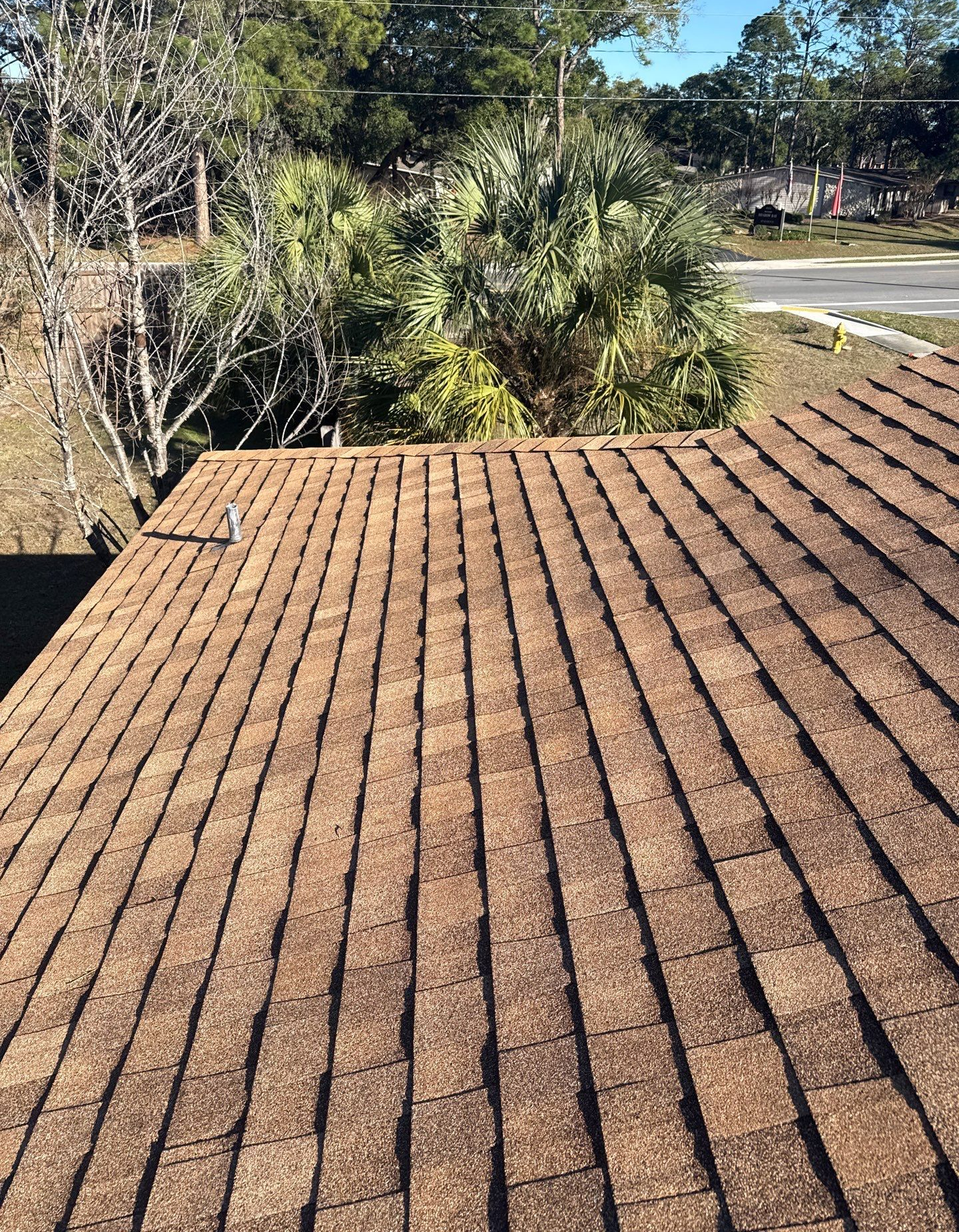 Brown asphalt shingle roof, with a clear view of shingles and surrounding foliage, under a blue sky.