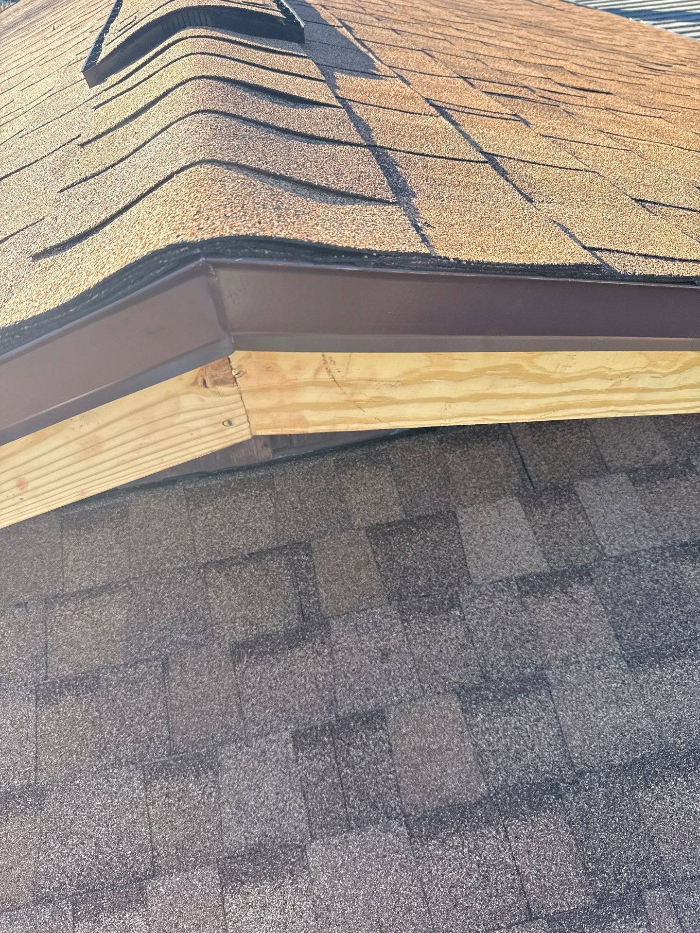 Close-up of roof edge showing wooden framing and brown asphalt shingles.