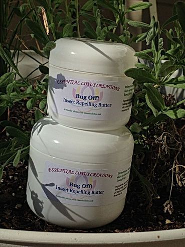 Two white haircare jars labeled “Balm Oil” on black pebbles among green plants.