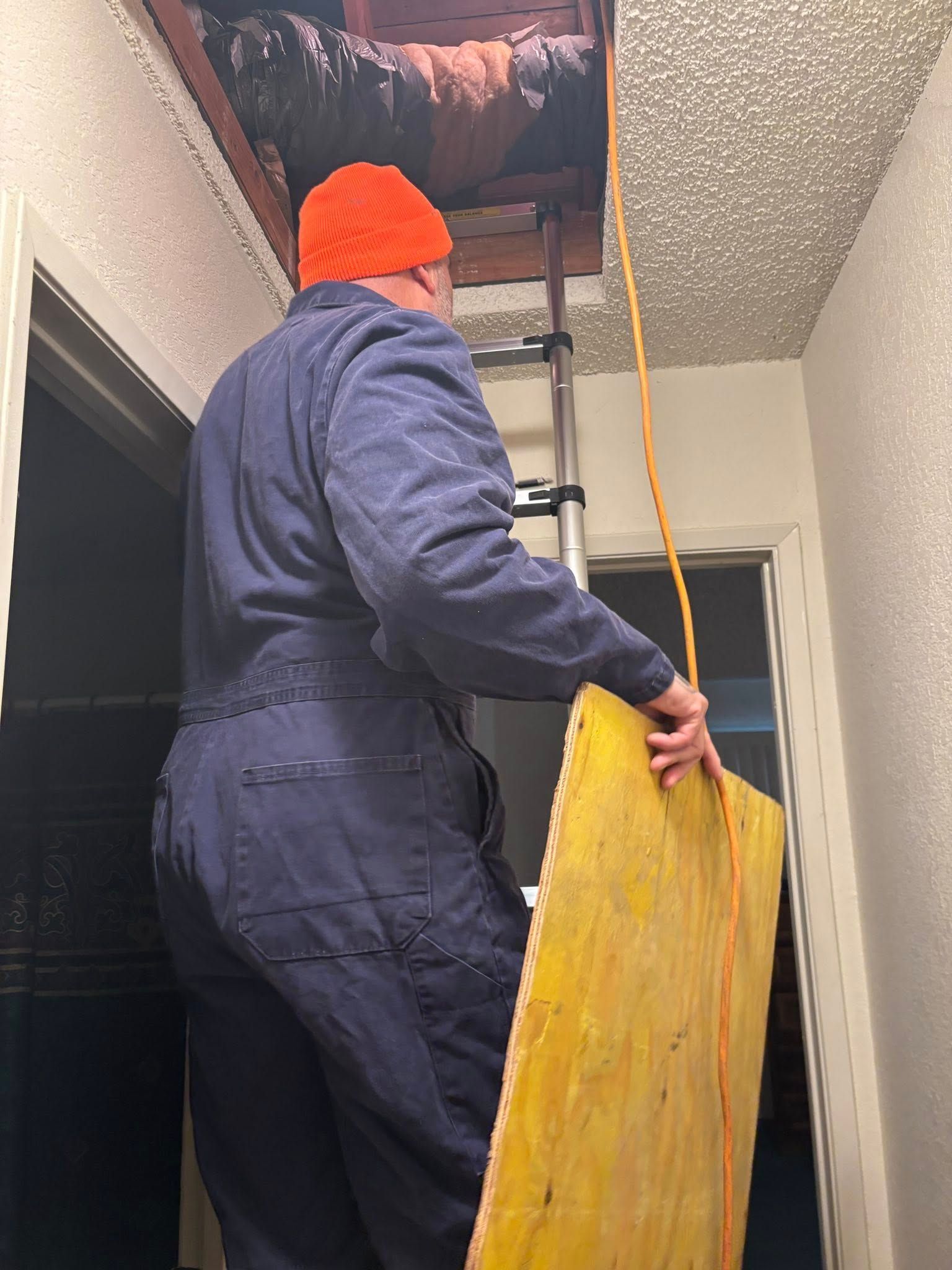 Man in blue jumpsuit and orange hat on a ladder, holding yellow wood plank, looking at attic opening.