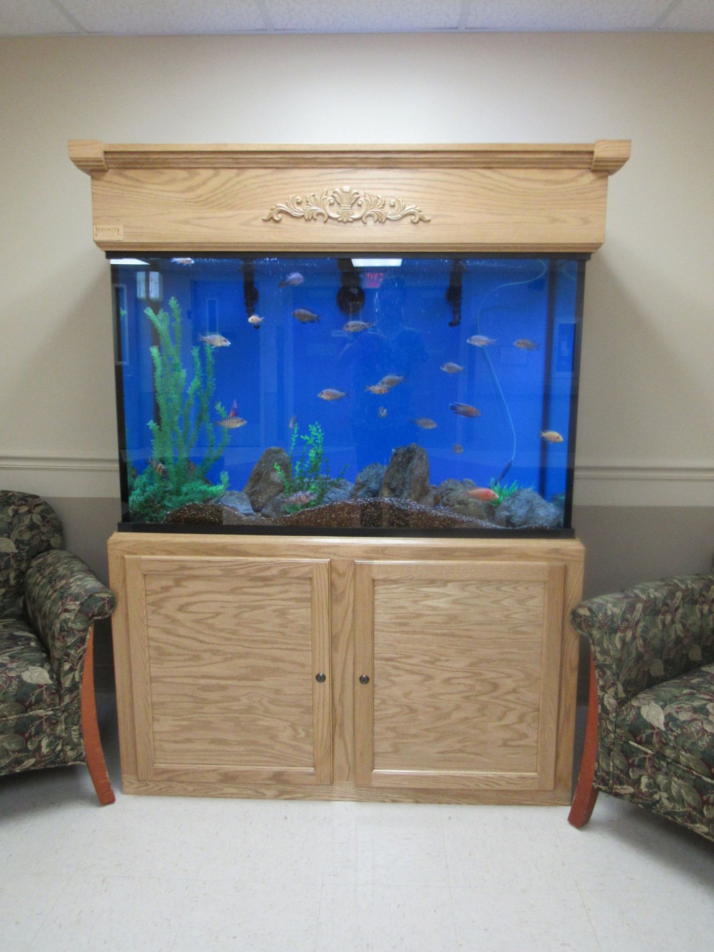 Fish Tank at Lenawee Medical Care Facility in Adrian, MI