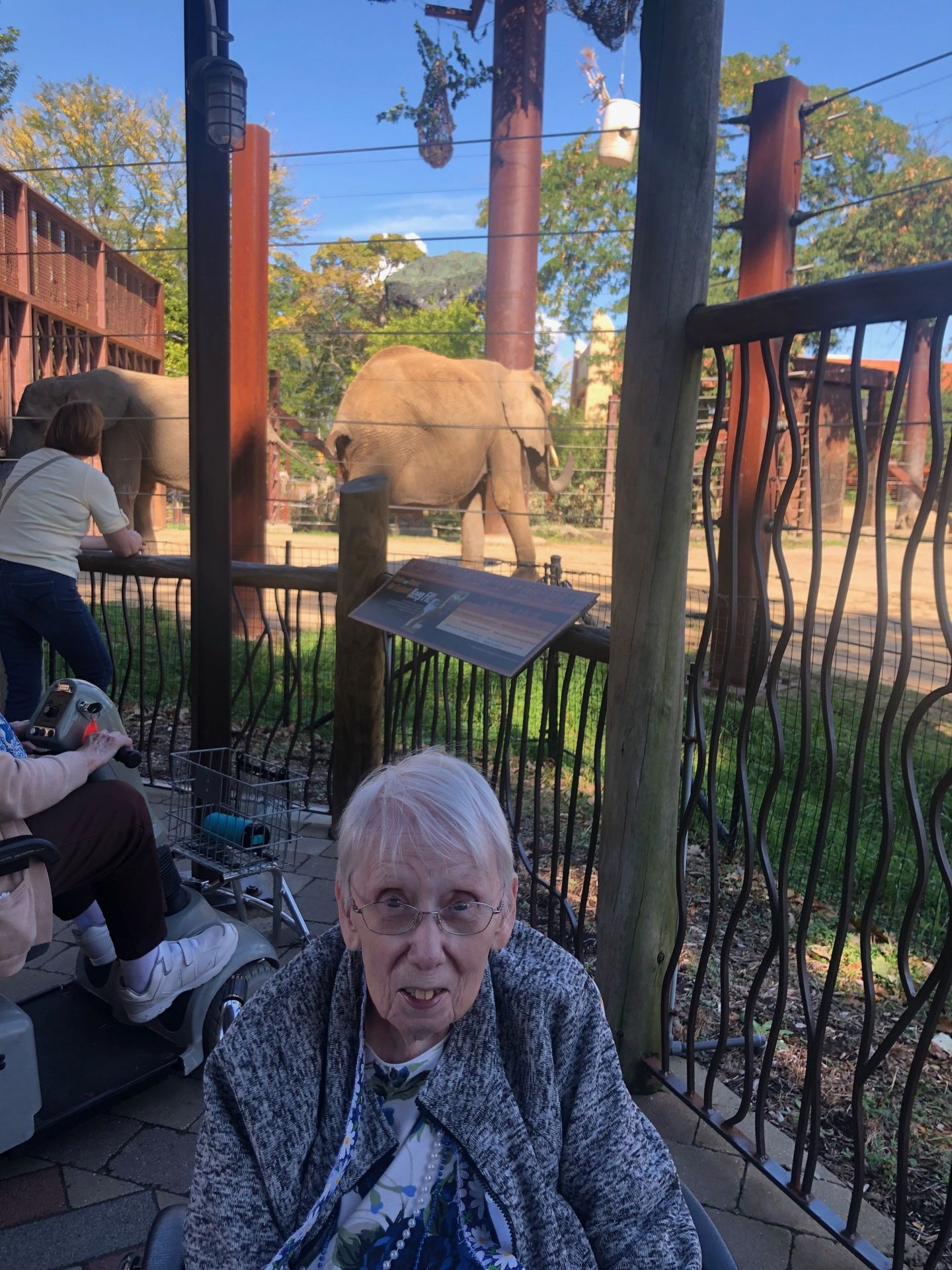 Elder posing next to elephants during outing at Toledo Zoo at Lenawee Medical Care Facility in Adrian, MI