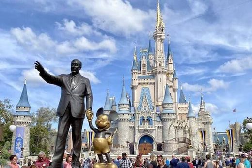 private luxury transportation service to and from Orlando Disney and Resorts