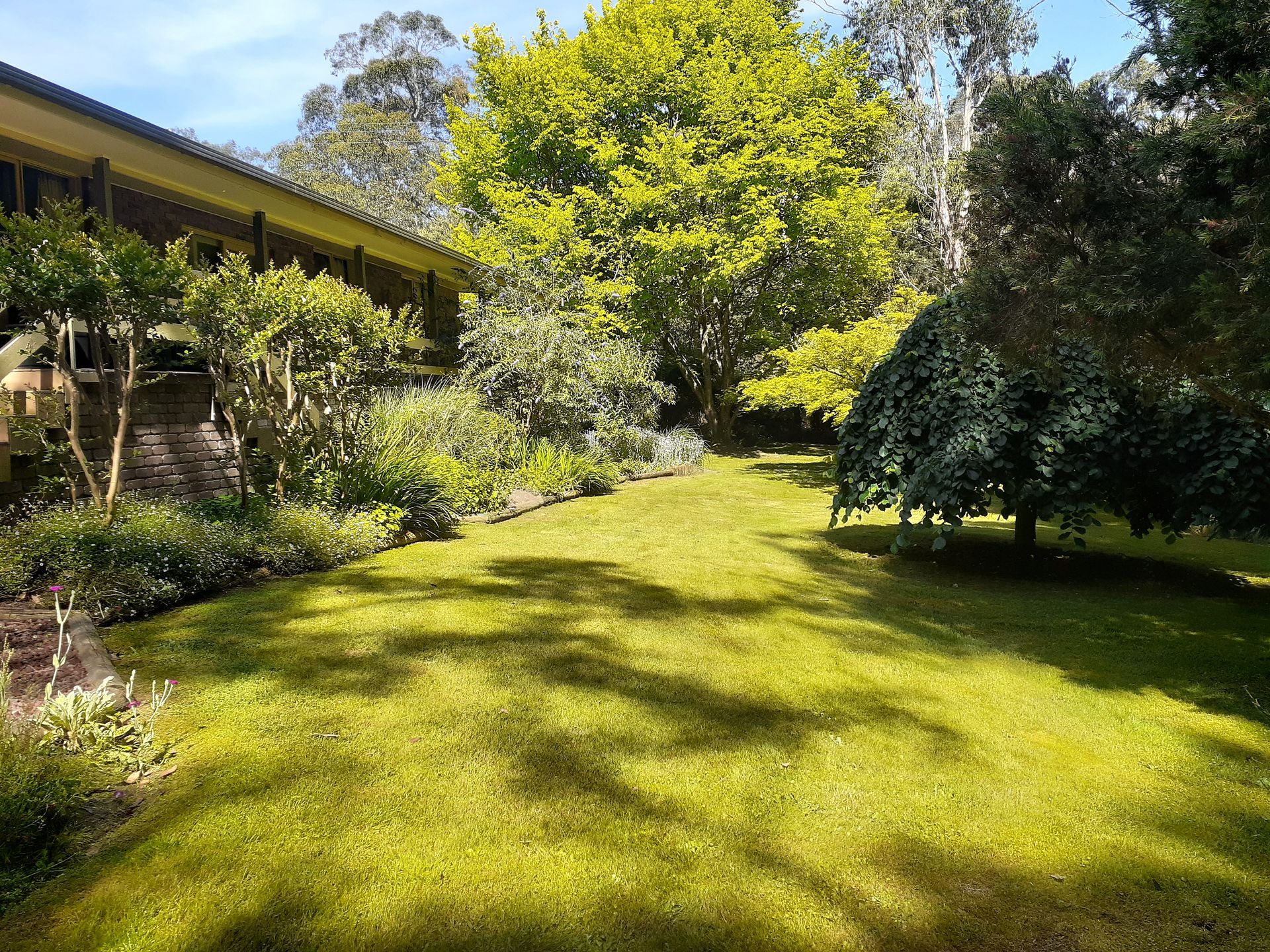 A backyard with a wheelbarrow and a lawn mower.