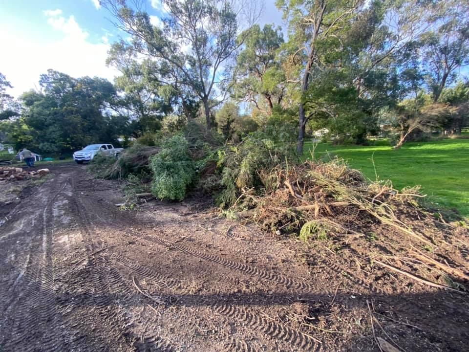 A pile of branches is sitting on the side of a dirt road.