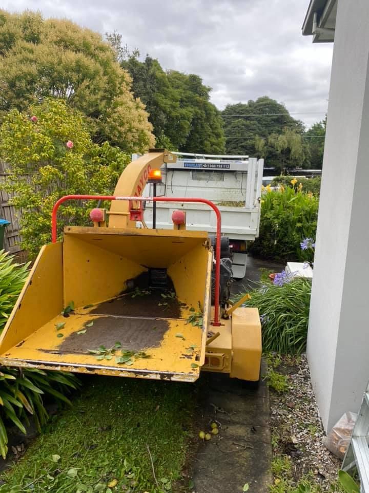 A yellow tree chipper is parked next to a white truck in a yard.