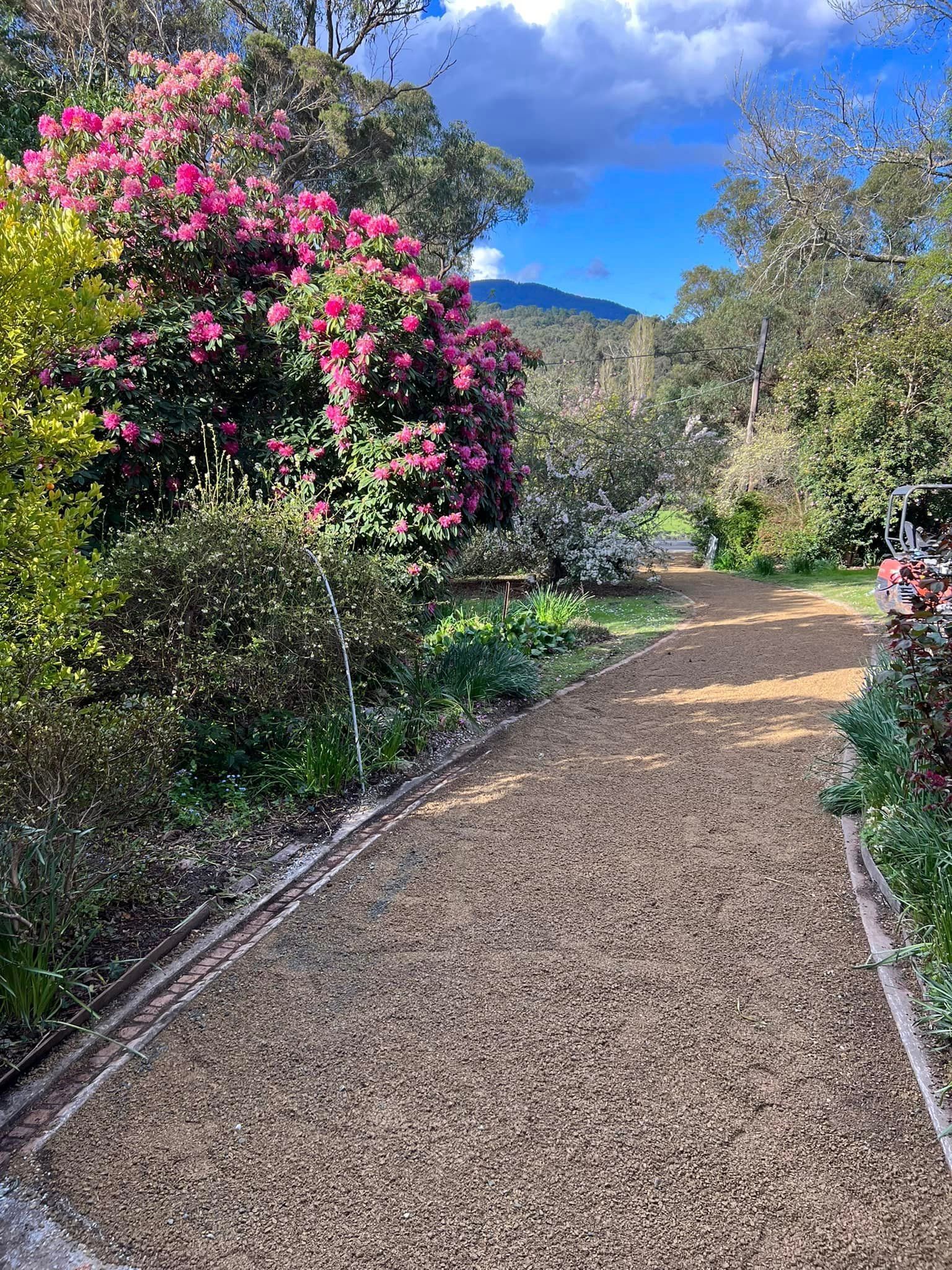 A gravel path surrounded by trees and flowers in a garden.