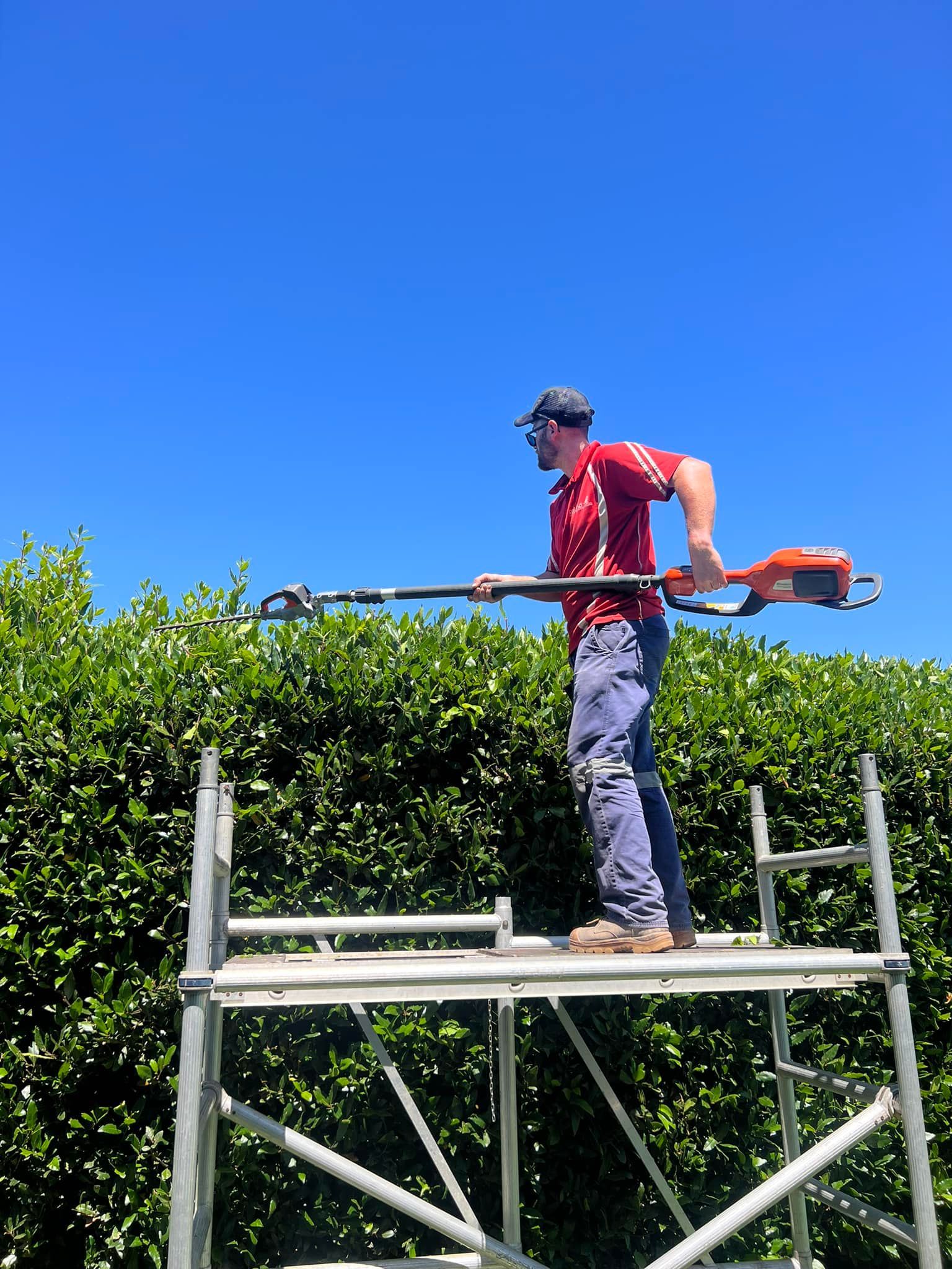 A man is standing on a scaffolding holding a hedge trimmer.