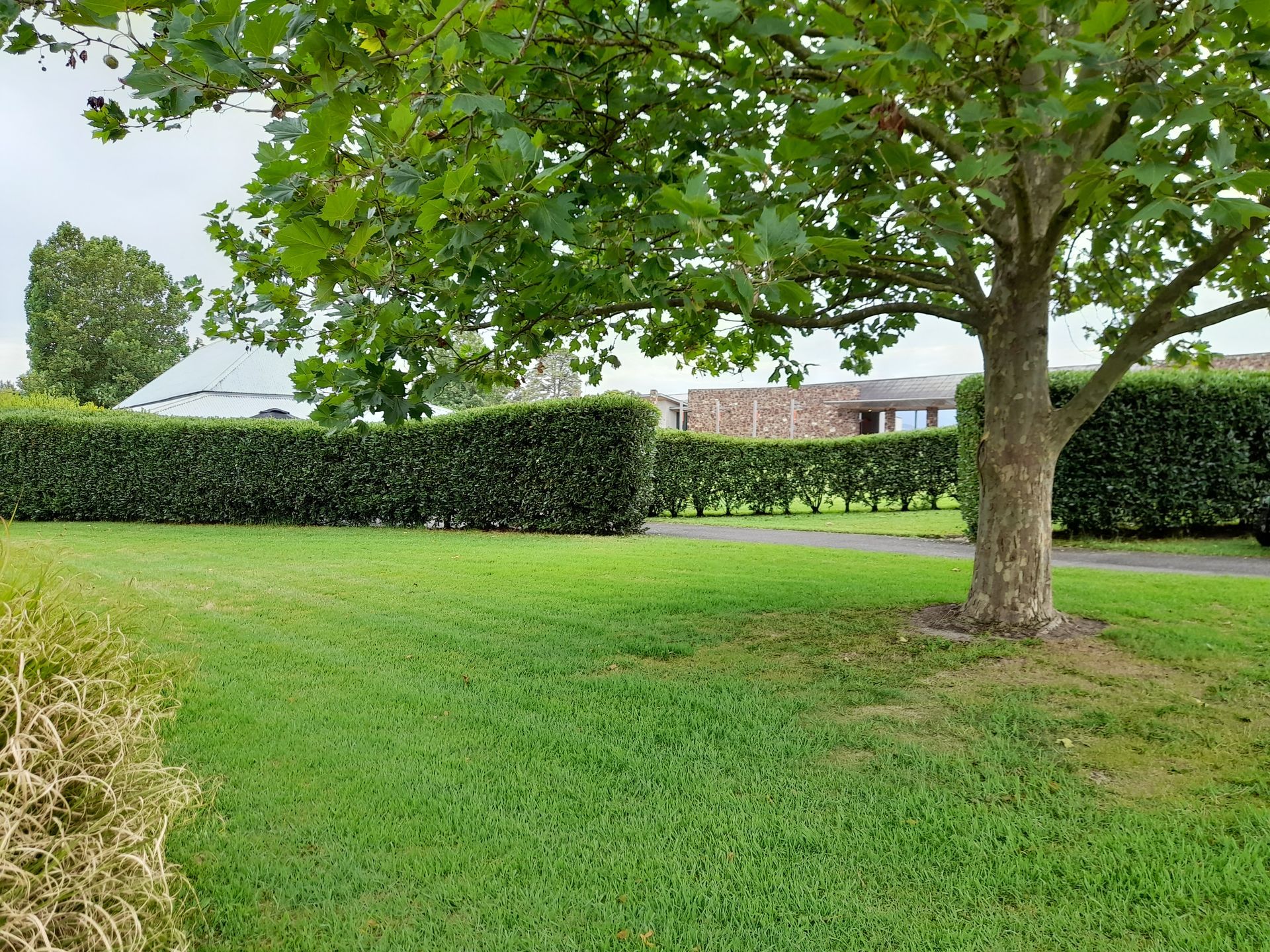A lush green lawn in front of a brick house with a garage.