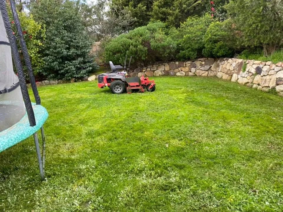 A red lawn mower is cutting a lush green lawn in a backyard.