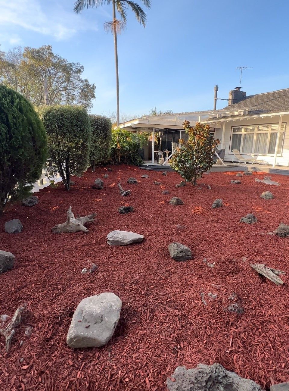 A house with a lot of bushes and trees in front of it.