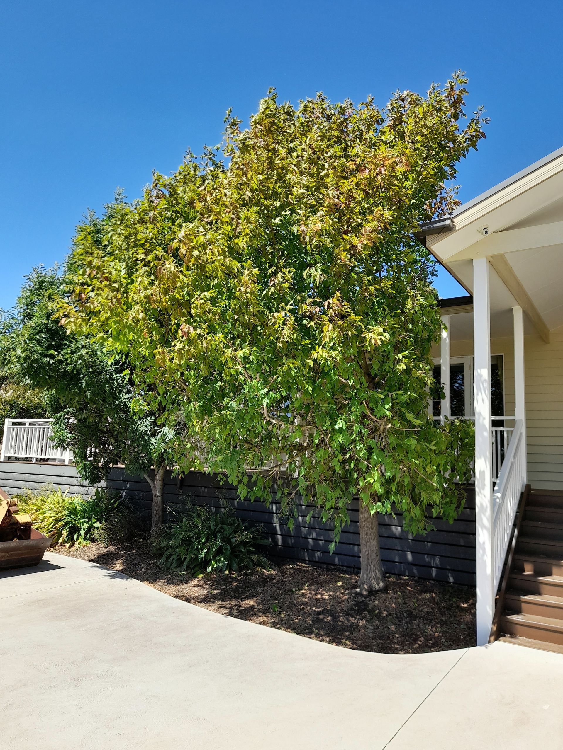 A white car is parked on the side of the road next to a white fence.