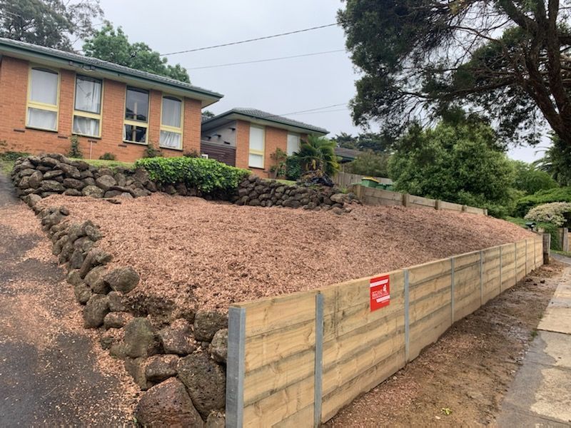 A garden with a lot of plants growing in it