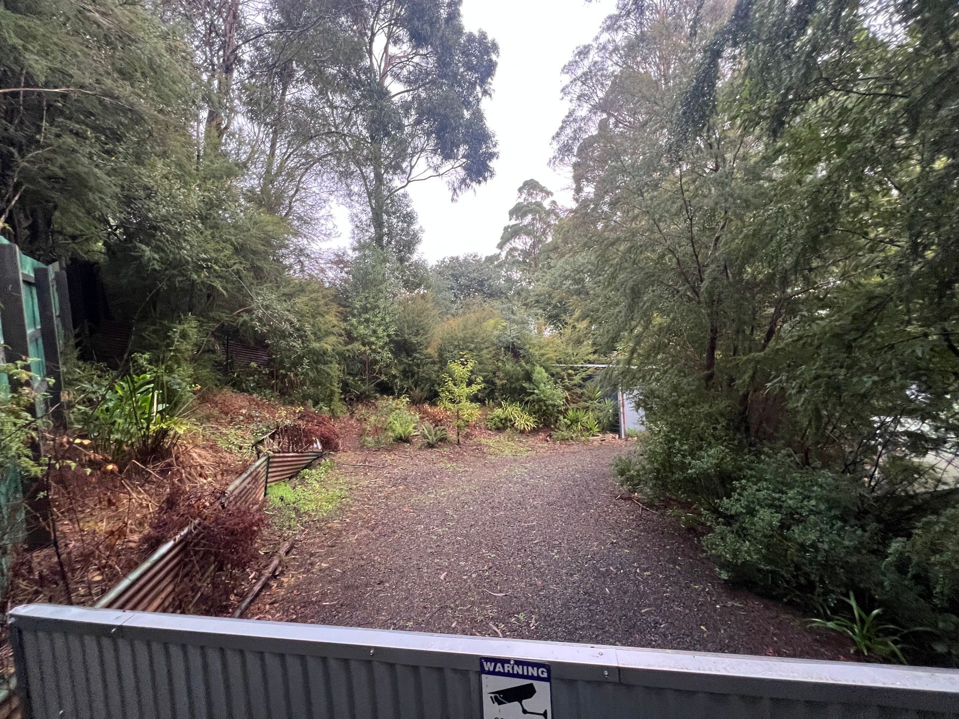 A before shot of a driveway.