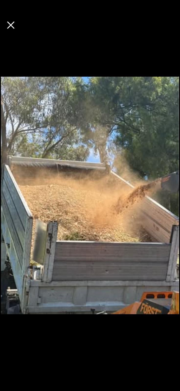 A truck bed filled with wood chips being loaded with more.