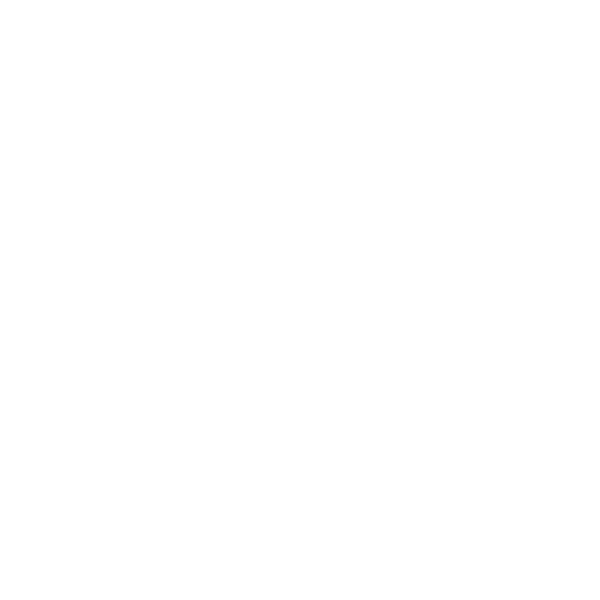 Logo der Firma Segway