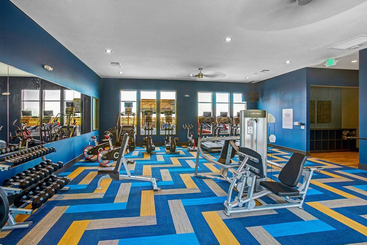 Gym interior with exercise machines, free weights, and colorful patterned carpet. Blue walls, mirrors.