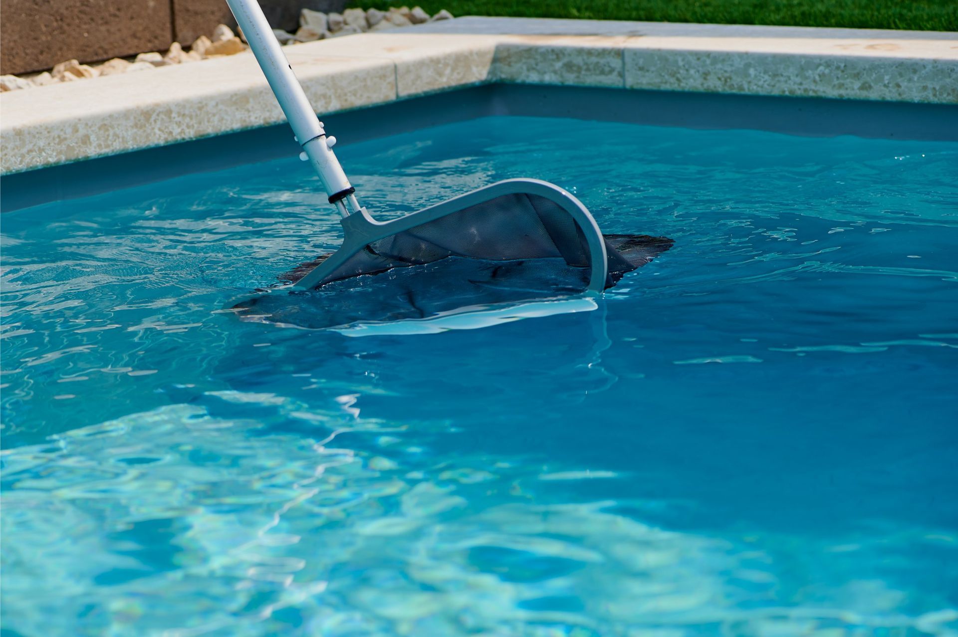 Pool net scooping debris from a blue swimming pool.